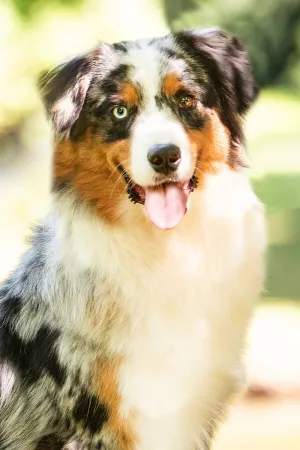 DSC_8812_bea