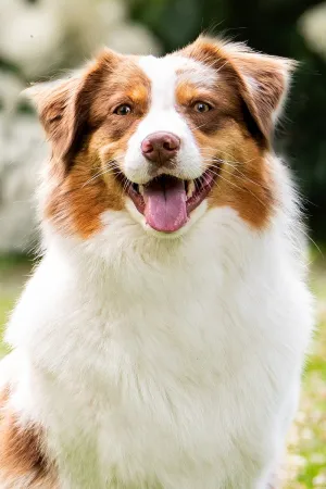 Disney_portrait Disney_portrait