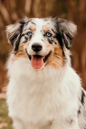 Ewa_portrait Ewa_portrait