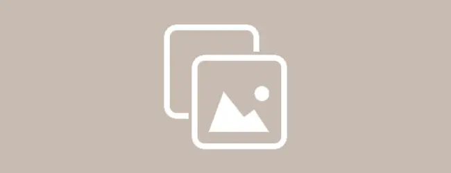 NBT – natural bobtail – Die natürliche Stummelrute | Australian Shepherd | Aussie.de