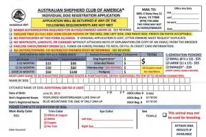 Wenn der Australian Shepherd Züchter für seine Welpenkäufer das ASCA Papier nicht beantragt, sondern lediglich den Antrag dafür mitgibt, sind die meisten Neuwelpenbesitzer völlig überfordert und wissen nicht genau, wie sie diesen Antrag ausfüllen.

Nachfolgend möchte ich dir deshalb Schritt für Schritt erklären, wie du den Antrag ausfüllst (und was die Amerikaner überhaupt von dir möchten).