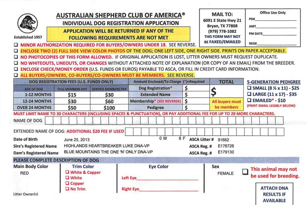 ASCA Papier beantragen Anleitung - Yellowstone Australian Shepherds