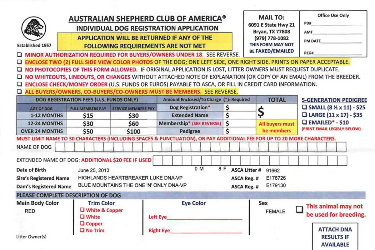 ASCA Papier beantragen Anleitung - Yellowstone Australian Shepherds