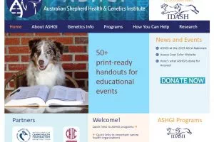 Eintragen eines Hundes beim Australian Shepherd Health & Genetic Institute (ASHGI),internationalen Verzeichnis f. Gesundheit d. Australian Shepherd (IDASH).