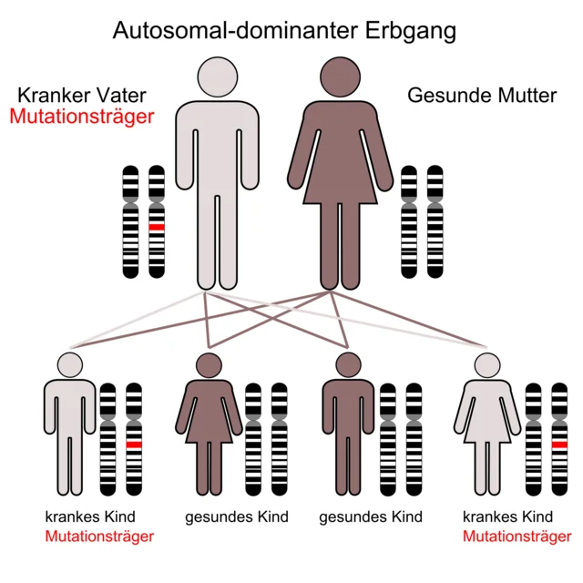 Dominanz (Genetik) – Wikipedia