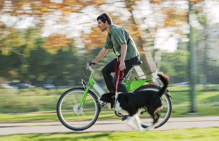 Mit dem Hund Fahrrad fahren – Im Sommer ist Vorsicht geboten