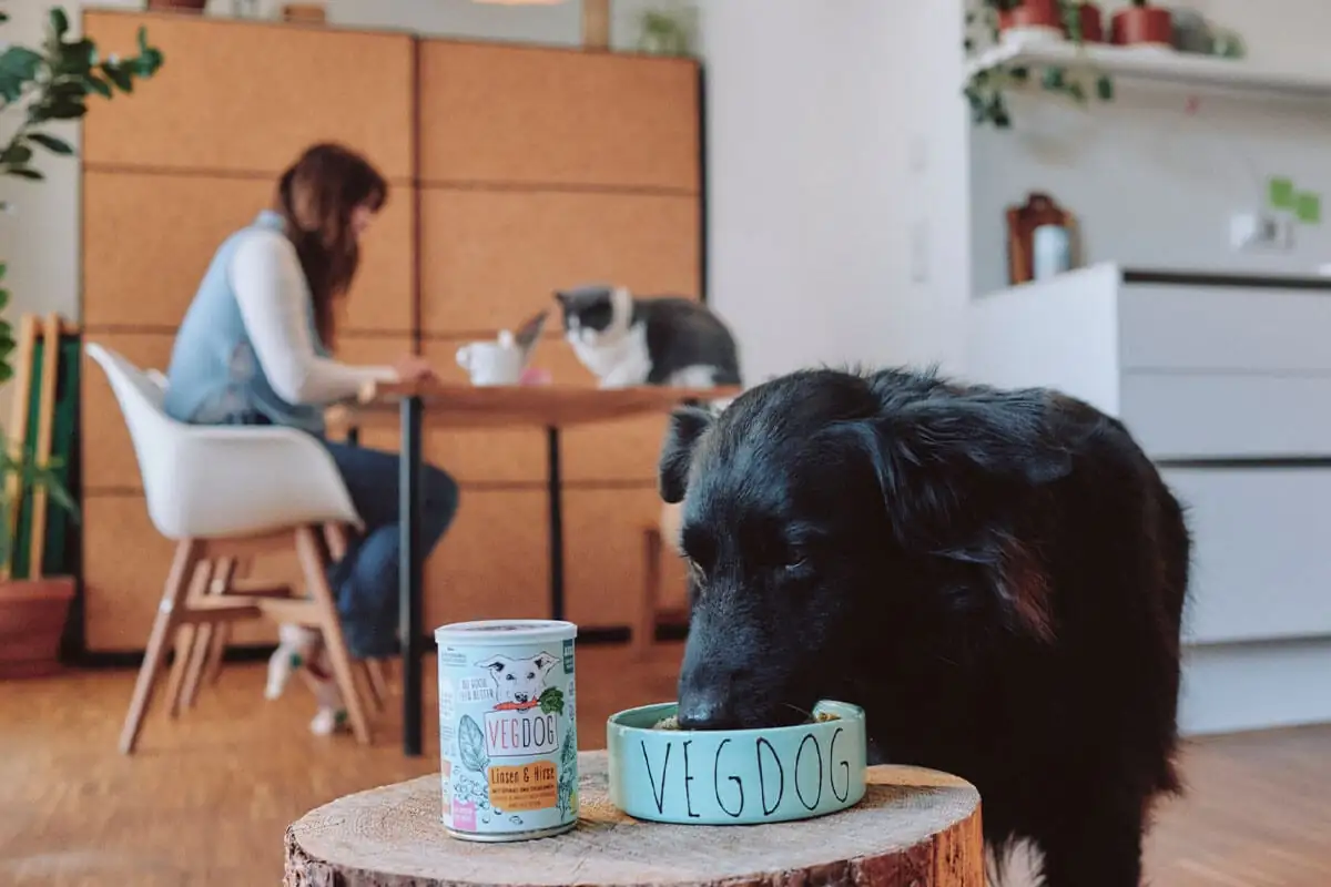 Hund und Katze vegan ernähren – wie artgerecht ist das? - PETA Deutschland e.V.