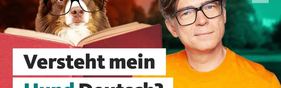 Infos-Koennen-Hunde-unsere-Sprache-verstehen-Quarks-Dimension-Ralph-Beitragsbild.jpg