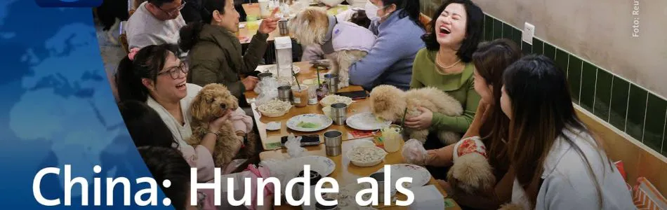 Infos-In-China-werden-Hunde-immer-mehr-vermenschlicht-Beitragsbild.jpg