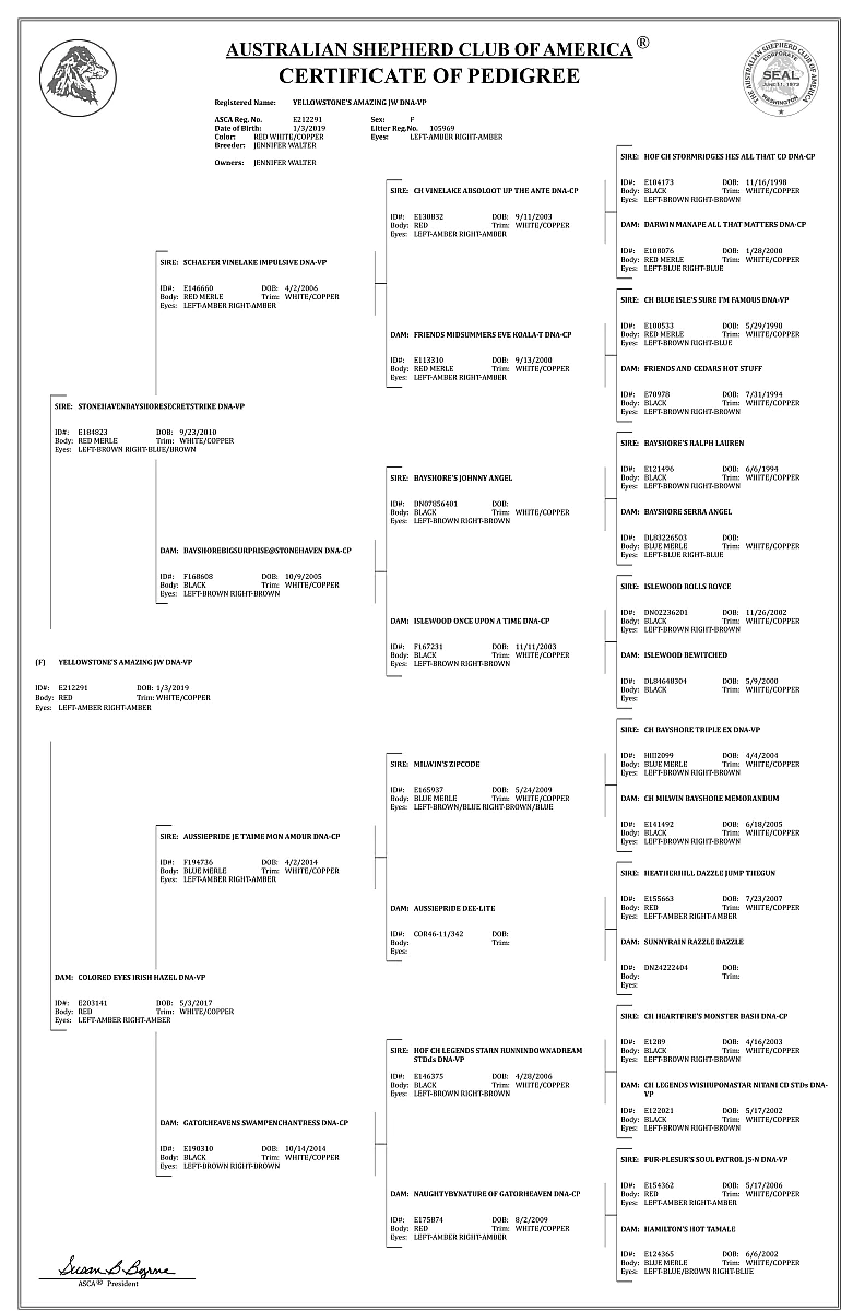 Pedigree Quietschie