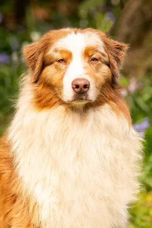 Tony-portraitBild.jpg