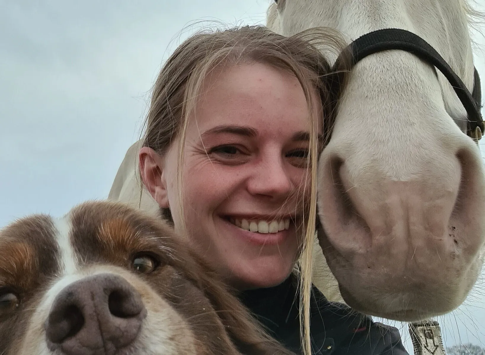 4pfotencoach.de | Ihre Hundeschule in Dinslaken und Xanten