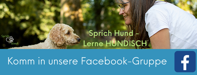 ÜBERSPRUNGVERHALTEN – Sprich Hund!