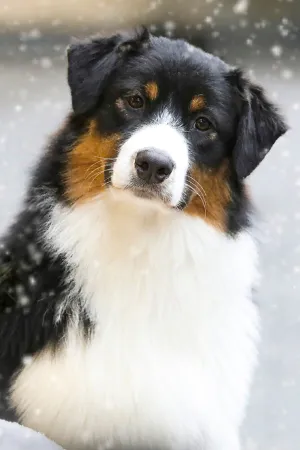 Kiki-portraitBild.jpg