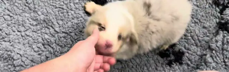 Cally-Tony-Knuddeln-Beitragsbild.jpg Cally-Tony-Knuddeln-Beitragsbild.jpg