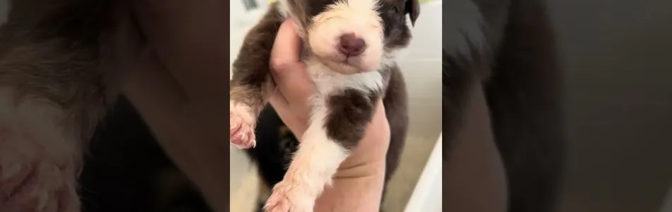 Kiki-Major-Augen-auf-Beitragsbild.jpg