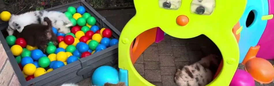 Kiki-Major-Bisschen-spielen-Beitragsbild.jpg Kiki-Major-Bisschen-spielen-Beitragsbild.jpg