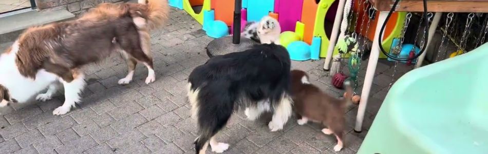 Kiki-Major-Entspannter-Morgen-Beitragsbild.jpg