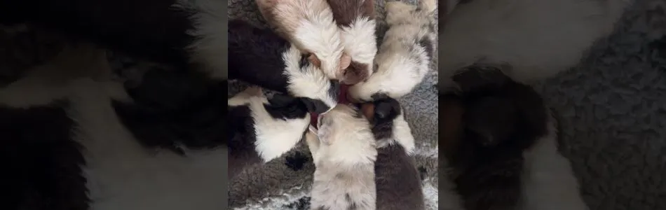 Rosy-Andy-Mjam-Mjam-Beitragsbild.jpg Rosy-Andy-Mjam-Mjam-Beitragsbild.jpg