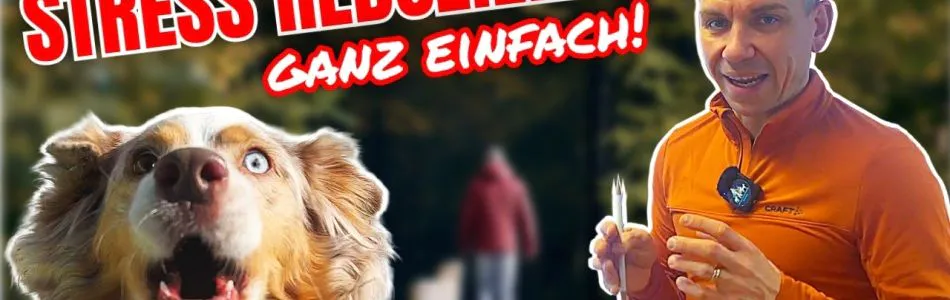 Infos-DIESE-METHODE-UM-STRESS-ZU-REDUZIEREN-Beitragsbild.jpg