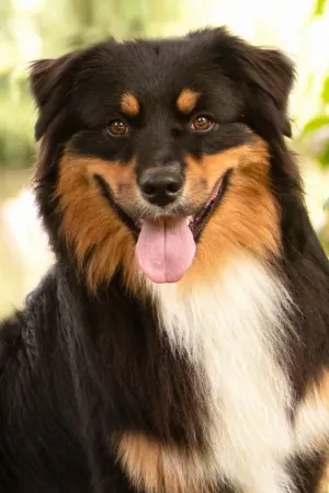 Crush-portraitBild.jpg