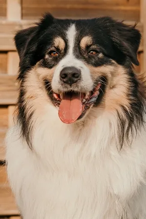 Sky-portraitBild.jpg