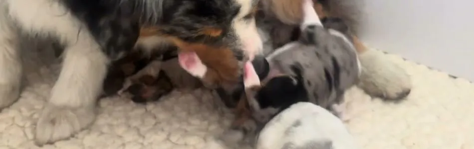 Fleur-Fox-Fleur-Babys-Beitragsbild.jpg