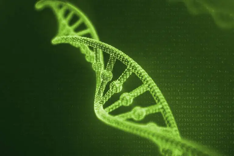 Multi-Drug-Resistance (MDR1) - www.ipgd-labore.de