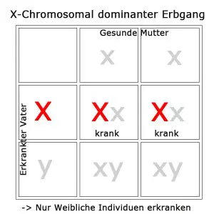 x-chromosomal-dominant-2